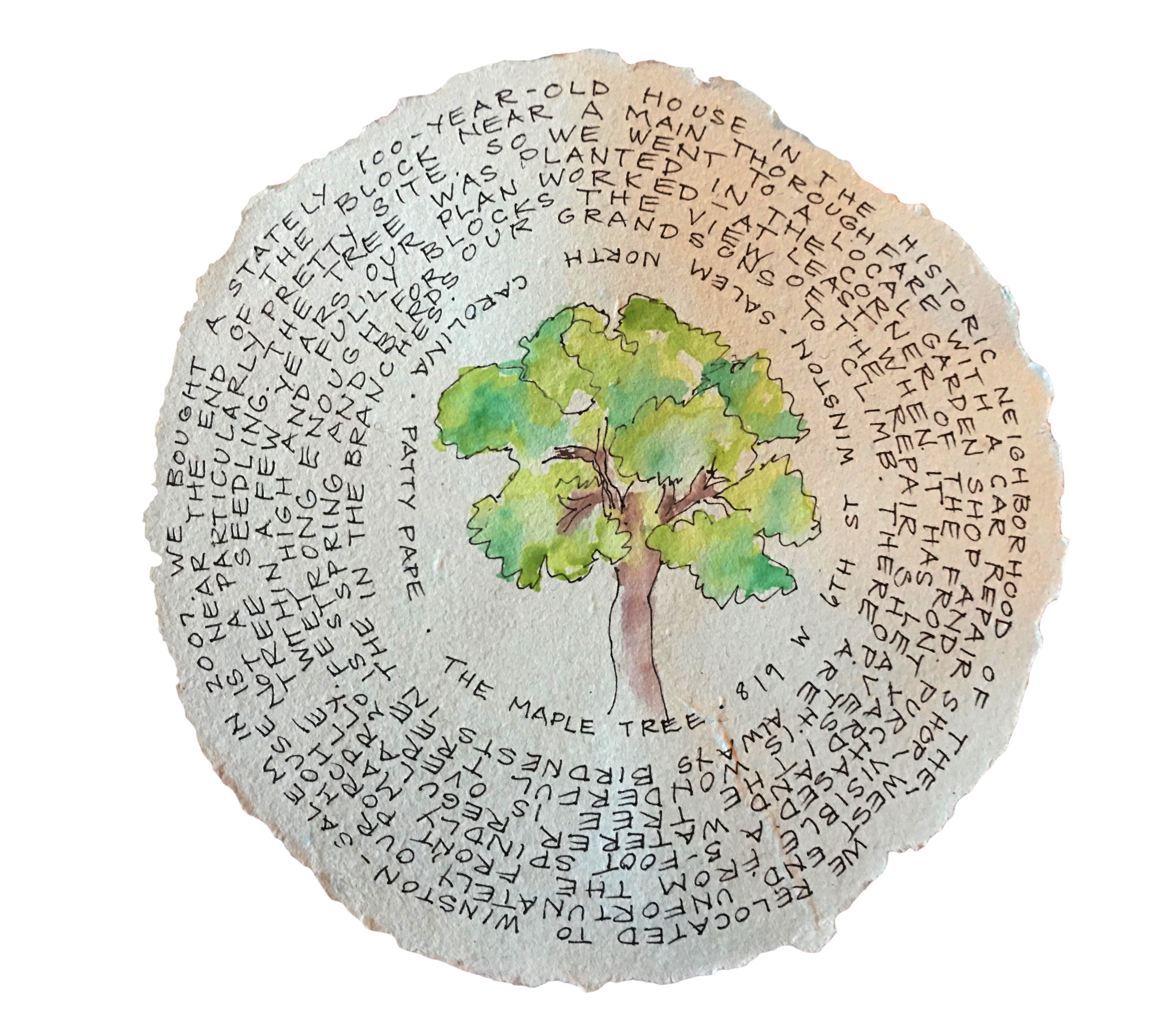 Bird nests in the branches