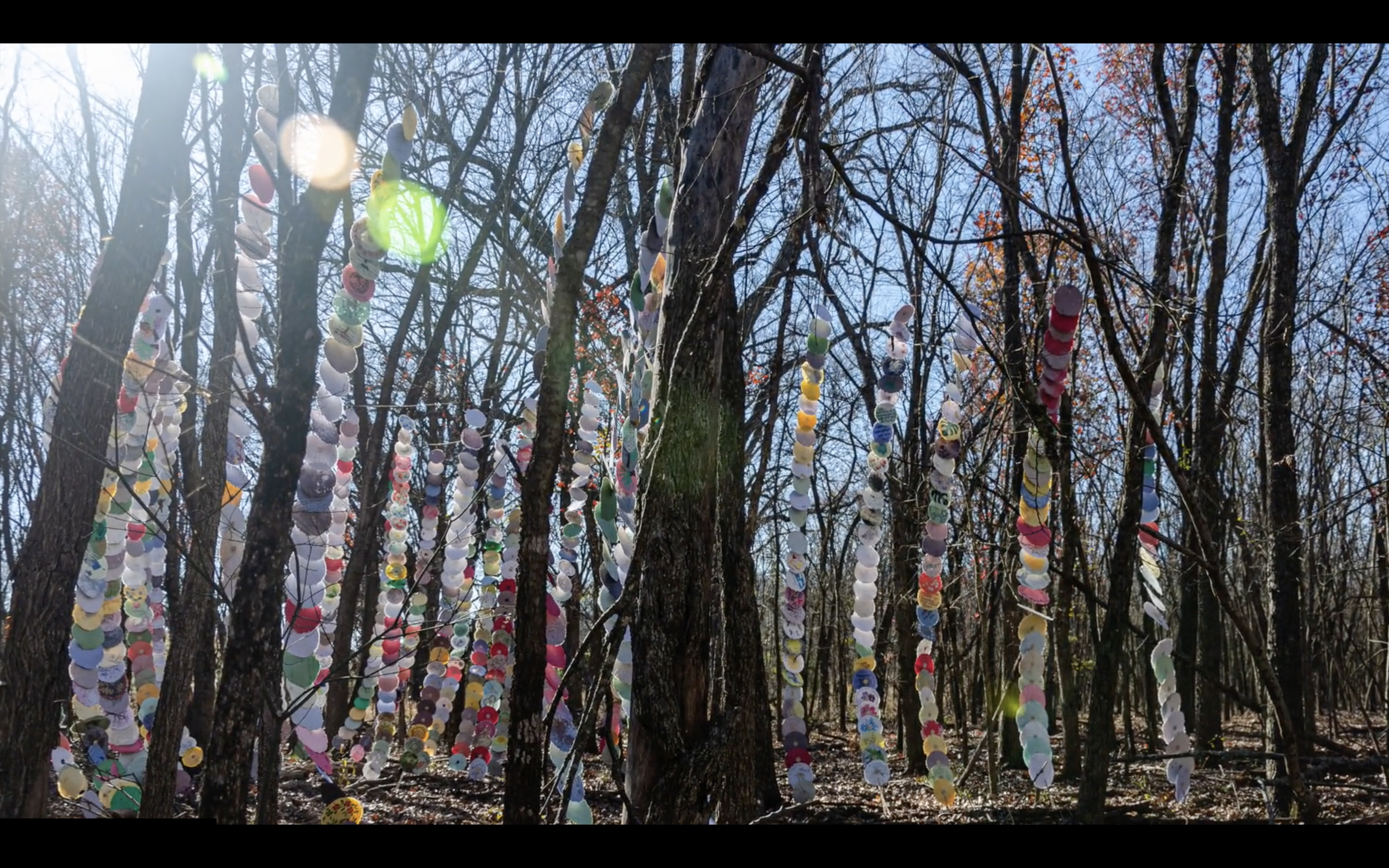 Kaligrafos forest on my doorstep!