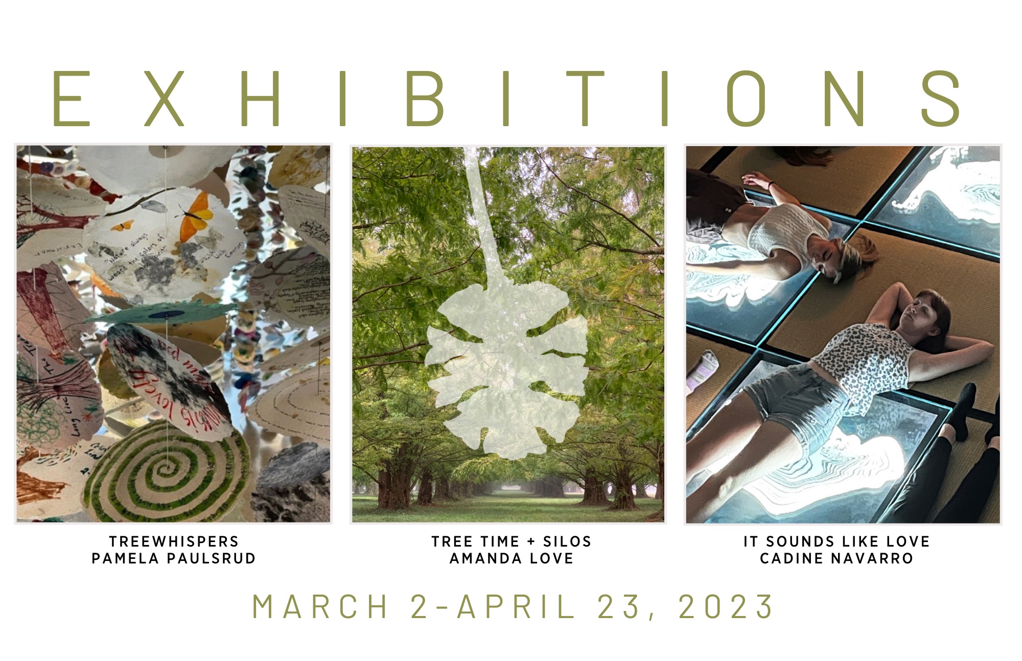 Observations in Nature