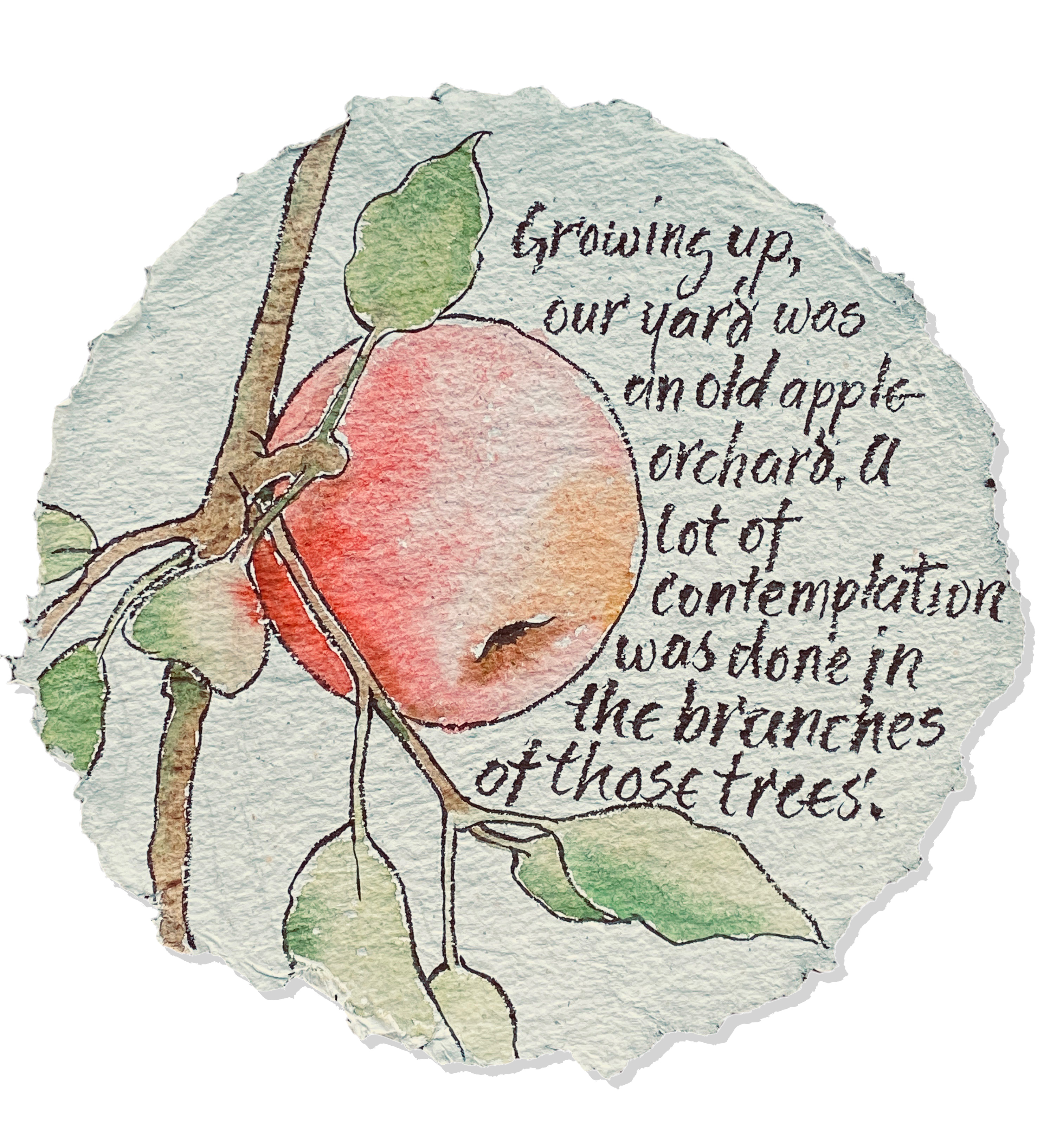 Apple orchard contemplation